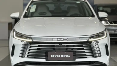 Quanto custa manter o BYD King 2025? Veja seguro e revisões em julho