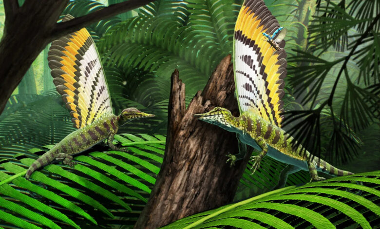 Nova espécie é descoberta em fóssil de milhões de anos: criatura misteriosa viveu na Terra antes dos dinossauros