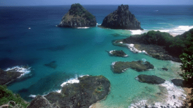 Destino tropical é sucesso entre celebridades brasileiras