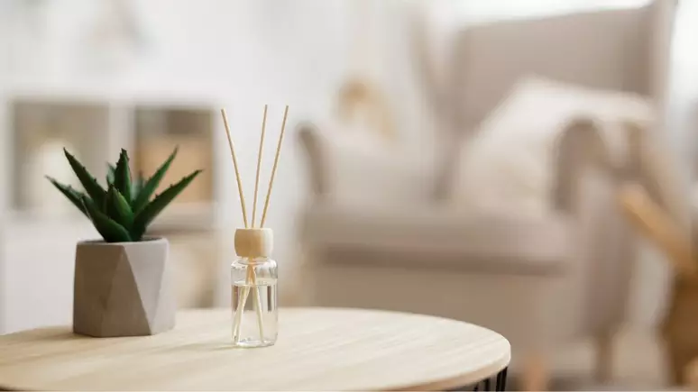 Deixe sua casa cheirosa toda noite com essas dicas infalíveis