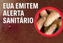 ALERTA