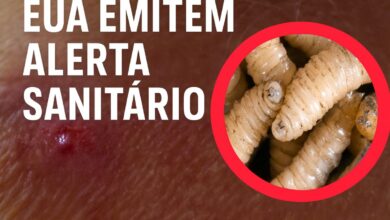 ALERTA