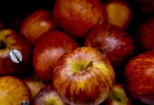 Diga adeus ao mau cheiro da boca com essa solução caseira