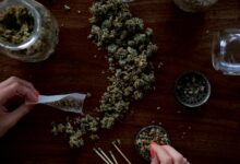 Ciência revela que maconha pode aumentar risco de morte por câncer