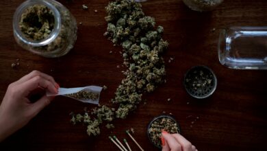 Ciência revela que maconha pode aumentar risco de morte por câncer