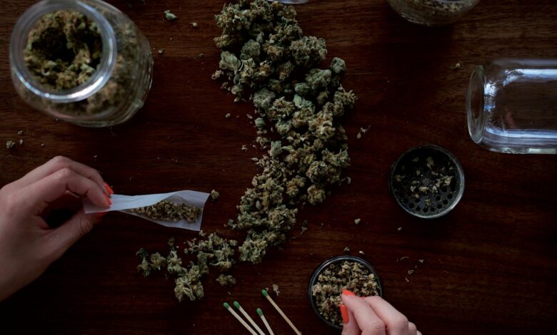 Ciência revela que maconha pode aumentar risco de morte por câncer