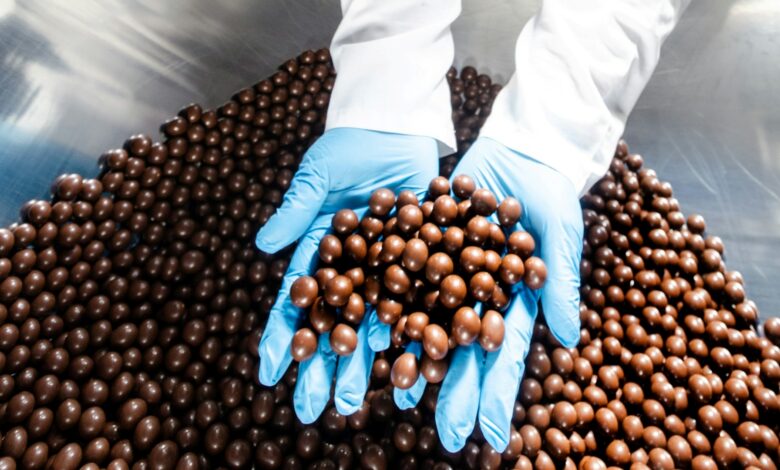 A fábrica de chocolate do interior de São Paulo que você precisa conhecer agora