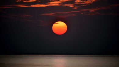 Fase violenta do Sol poderá extinguir a vida na Terra