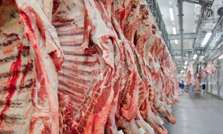 A Batalha dos Gigantes: Quem Tem o Maior Frigorífico do Brasil em 2025?