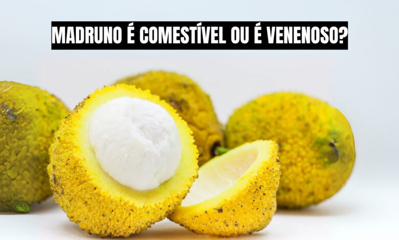O madruno, fruta nativa da Amazônia, encanta pelo sabor exótico e pelo potencial de mercado. Descubra como essa joia natural pode ser a nova aposta de fruticultores em busca de inovação. Fonte: Adobe Stock