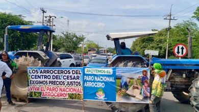 Qué dijeron los arroceros tras levantar el paro y qué falta por solucionar pese a los acuerdos con el Gobierno