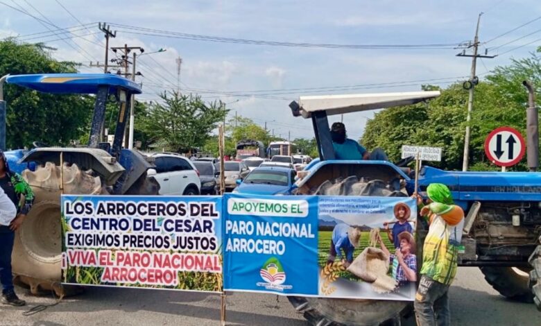 Qué dijeron los arroceros tras levantar el paro y qué falta por solucionar pese a los acuerdos con el Gobierno
