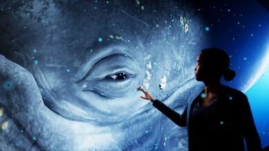 Hologram Zoo: A Incrível Atração com Animais Selvagens em Hologramas que Está Encantando o Mundo