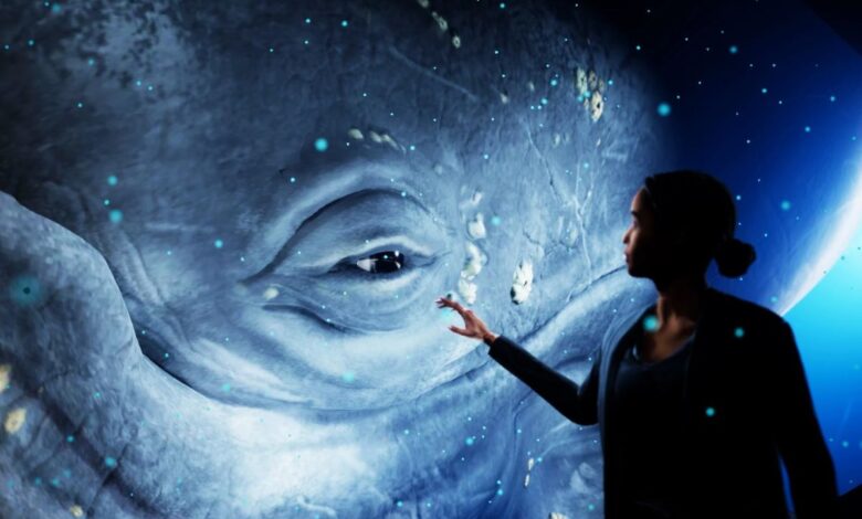 Hologram Zoo: A Incrível Atração com Animais Selvagens em Hologramas que Está Encantando o Mundo