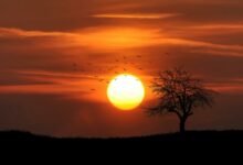 O horário de verão vai mesmo voltar? Isso é tudo o que sabemos
