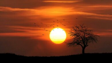 O horário de verão vai mesmo voltar? Isso é tudo o que sabemos