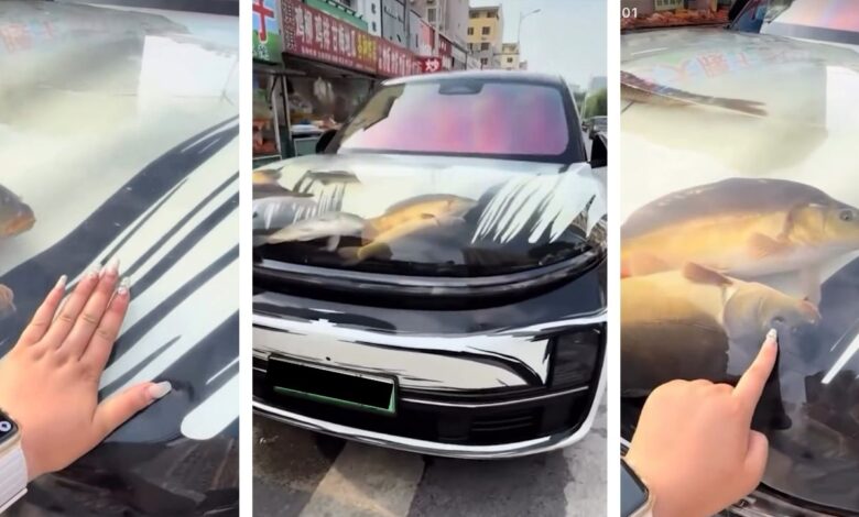 Um chinês foi preso após transformar o capô de seu Li Auto L9 em um aquário improvisado com peixes vivos. O caso gerou revolta nas redes e levou à intervenção da polícia por violação das leis de modificação veicular.