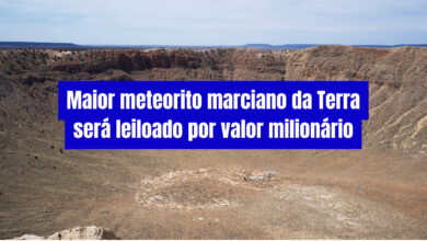 Meteorito de Marte mais pesado já encontrado na Terra será leiloado por até R$ 21 milhões; evento ocorre em julho, em Nova York.