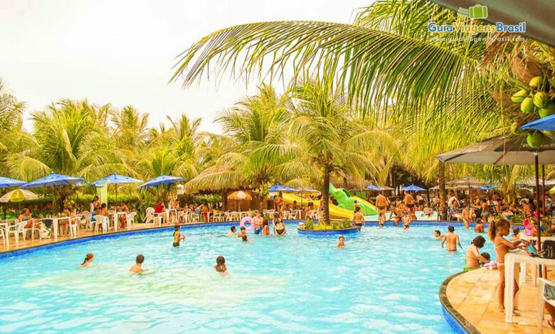 Quais os principais riscos à saúde ao nadar em piscinas públicas e como prevenir infecções causadas por bactérias e parasitas.
