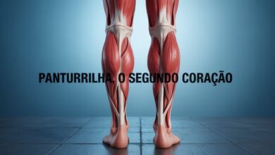 Anatomia do músculo sóleo com veias internas destacadas e função circulatória.