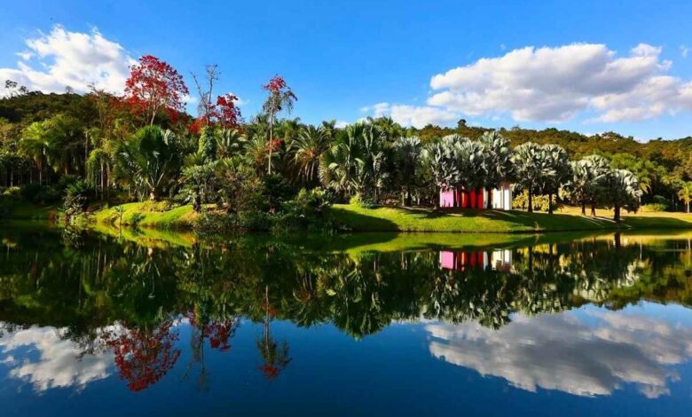 O Maior Museu a Céu Aberto da América Latina: A História e os Tesouros de Inhotim
