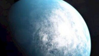 Planeta do tamanho da Terra pode ser habitável, diz Nasa
