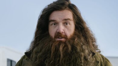 Rubeus Hagrid Nick Frost Image Revealed By HBO's Harry Potter