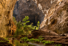 Descubra o novo Patrimônio Natural que foi reconhecido no Brasil