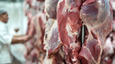 Corte de carne surpreende por ser mais macio que a maioria e mais acessível