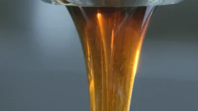 Conheça o alimento que desafia o tempo e ainda ajuda na cura do corpo
