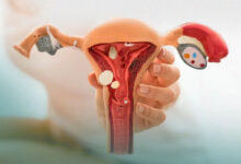 O útero se movimenta dentro do corpo, afeta o sistema imune, fertilidade e o que a ciência moderna revela sobre a saúde reprodutiva feminina.