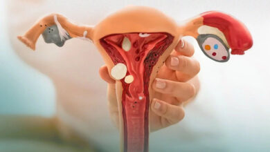 O útero se movimenta dentro do corpo, afeta o sistema imune, fertilidade e o que a ciência moderna revela sobre a saúde reprodutiva feminina.