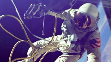 Descubra o que os astronautas comem no espaço