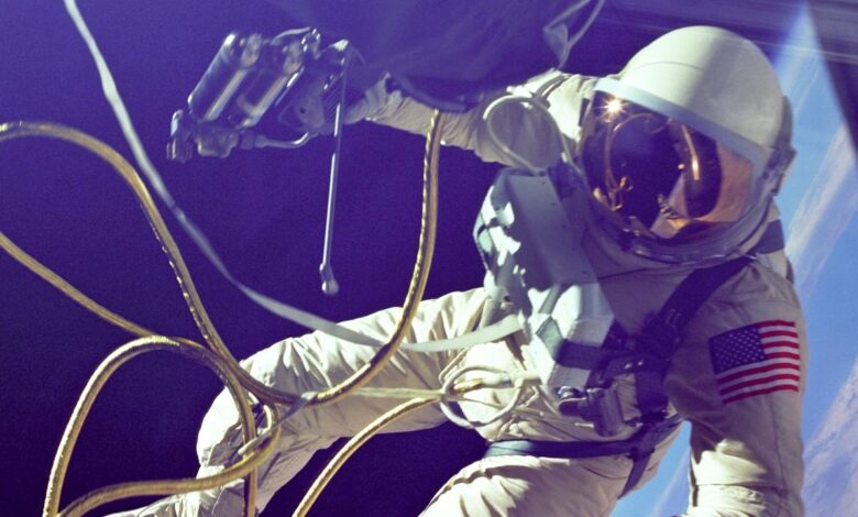 Descubra o que os astronautas comem no espaço