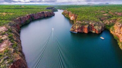 Os maiores rios do Brasil vão além da beleza: são essenciais para a economia, biodiversidade e abastecimento. Veja quais são os principais e suas curiosidades.