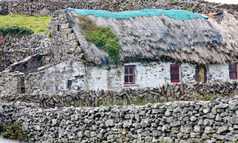 Casas em ilha remota da Irlanda reformadas por novos moradores com incentivo governamental.