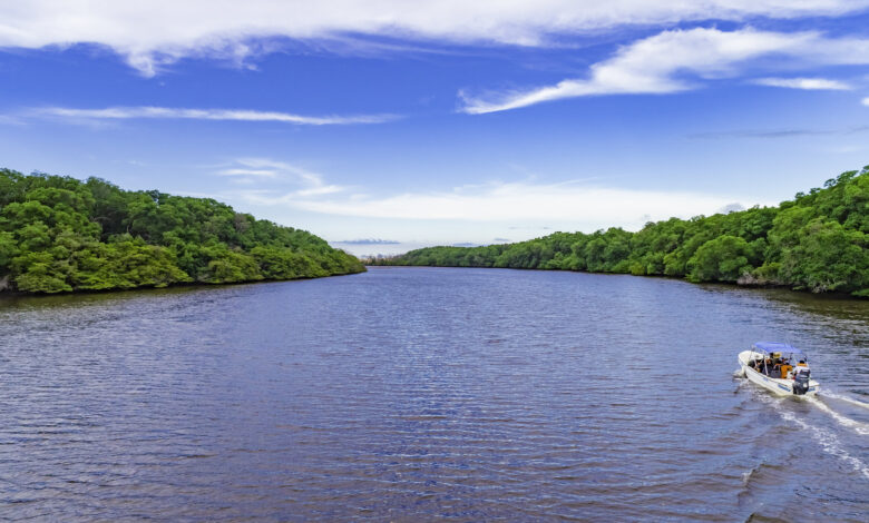 Rio Parnaíba impulsiona soja, milho e pecuária no Nordeste e Norte do Brasil