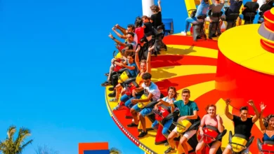 Tem montanha russa e lembra a Disney, mas fica no Brasil e é bem mais acessível