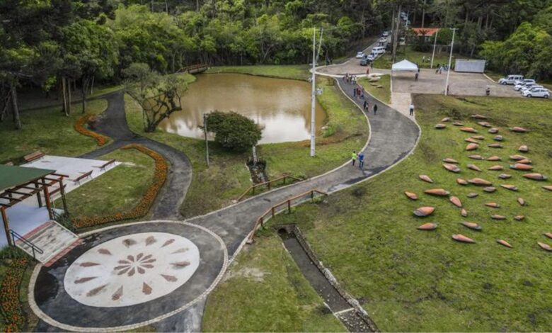 Descubra o Parque Pinhal de Santana em Curitiba, com pinhões gigantes, atrações inclusivas e cultura paranaense em meio à natureza.