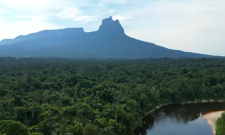 O ponto mais alto do Brasil que poucos podem visitar: o Pico da Neblina é um desafio para a ciência e um símbolo da luta pela preservação da Amazônia