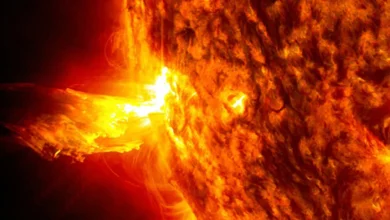 Cientistas descobriram que o planeta está causando sua própria destruição