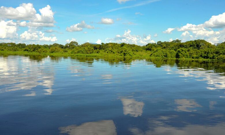 A maior planície inundável do planeta é brasileira, um santuário de biodiversidade com mais de 2500 espécies de animais e plantas que pulsa no ritmo das águas