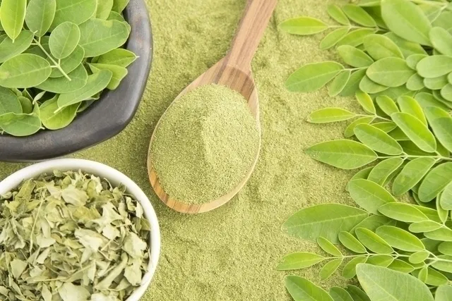 Planta poderosa está fazendo sucesso por ser conhecida como “árvore da vida”