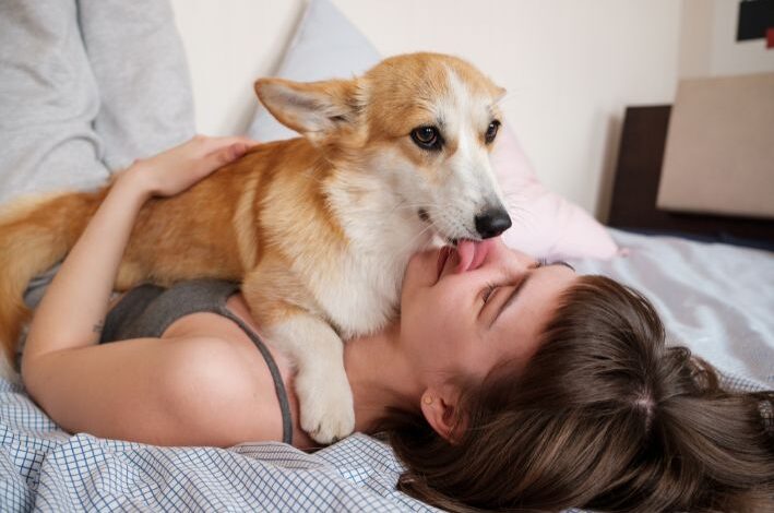 Seu cachorro te lambe muito? Veja o que isso realmente significa