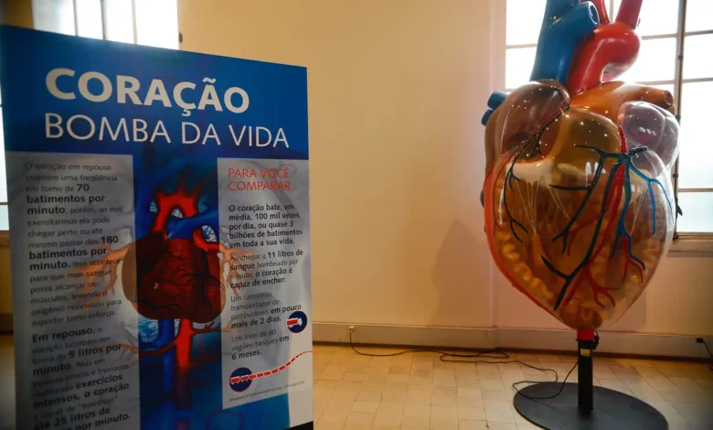 Produto comum pode estar prejudicando seu coração silenciosamente