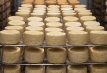 Queijo famoso é retirado do mercado por risco à saúde