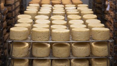 Queijo famoso é retirado do mercado por risco à saúde