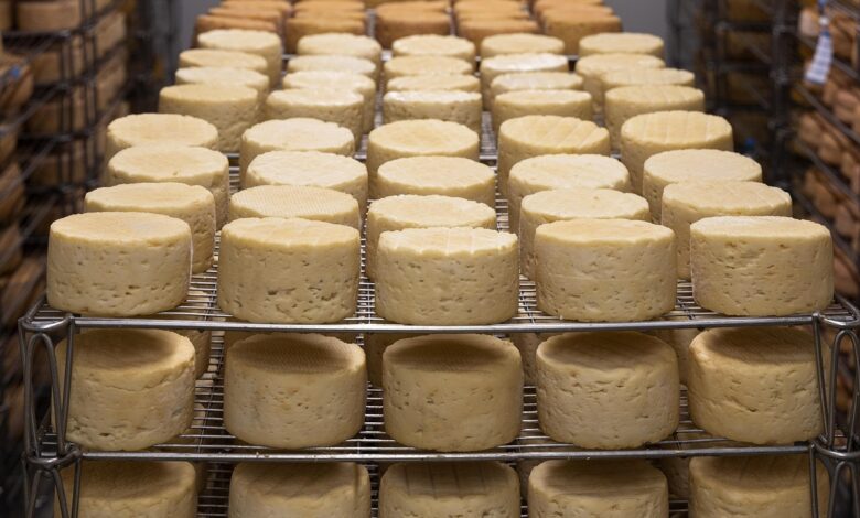 Queijo famoso é retirado do mercado por risco à saúde