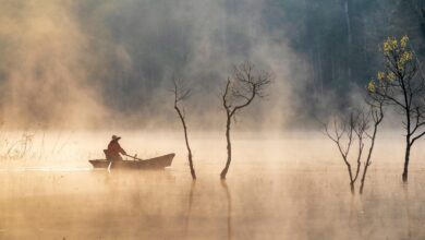 Rio na Amazônia tem água tão quente que pode cozinhar seres vivos