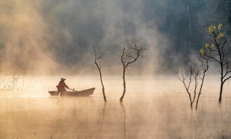 Rio na Amazônia tem água tão quente que pode cozinhar seres vivos